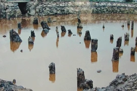 Préservation de la zone des vestiges historiques de Bach Dang