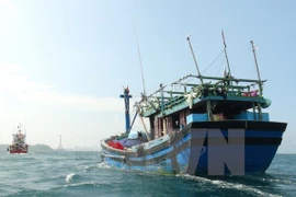 Quang Binh : sauvetage d'un Chinois sinistré en mer