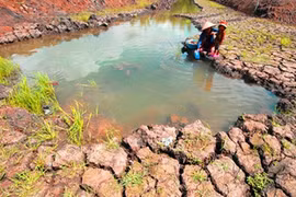 Forum sur l’environnement et le développement durable à Vinh Phuc