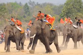 Bientôt la Fête des éléphants de Buôn Dôn 2016