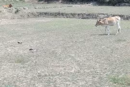 Moins de chaleur, mais une sécheresse qui dure