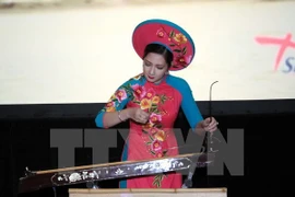 La culture vietnamienne présentée en Irlande
