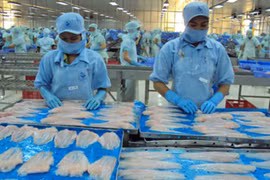 2 établissements supplémentaires autorisés à exporter des pangasius aux Etats-Unis