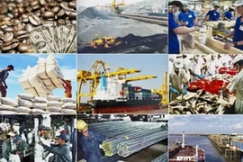 ESCAP : prévision d'une croissance de 6,8 à 6,9% du Vietnam en 2016 et 2017