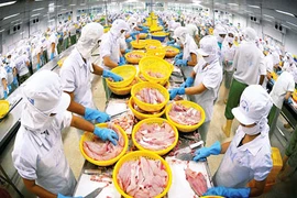17 entreprises vietnamiennes autorisées à exporter des produits aquatiques au Panama