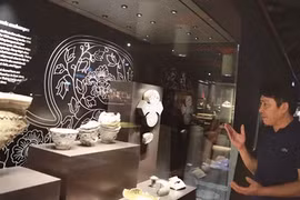 Un Hanoï millénaire dévoilé sous le bâtiment de l’Assemblée nationale