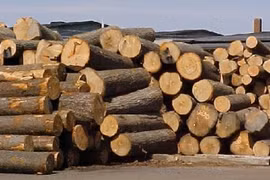 Bois : 1,66 milliard de dollars d’importations en 2015