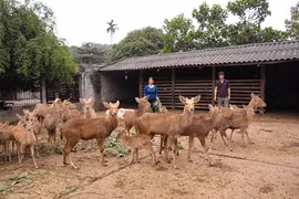 La Nouvelle ruralité et l'établissement des chaînes de production