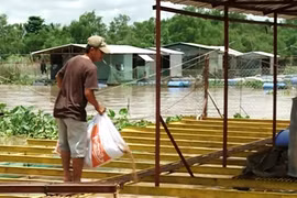 L’exposition Vietfish 2016 programmée début août