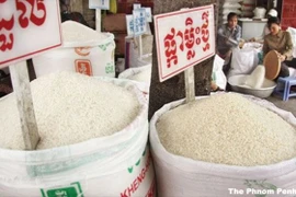 Cambodge : les exportations de riz en hausse de 8,5 % au premier trimestre 