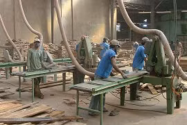 La sylviculture table sur 7,1 milliards de dollars d’exportations en 2016