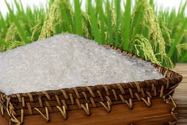 Le riz vietnamien à l’honneur