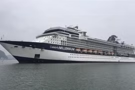 Saigontourist reçoit 8.350 croisiéristes en une semaine