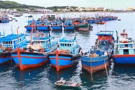 Bach Long Vi : Maintenir la paix et développer l’économie maritime