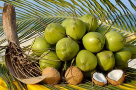 Bên Tre: Les produits à base de coco sont prisés en Asie