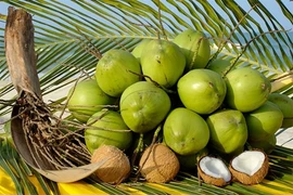 Bên Tre: Les produits à base de coco sont prisés en Asie