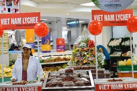 Les EAU, 7e partenaire en commerce du Vietnam