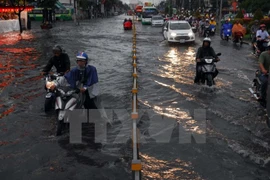 Hô Chi Minh-Ville souhaite accueillir des investisseurs néerlandais