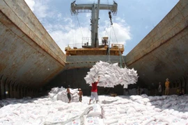 De belles opportunités pour les exportations de riz en Algérie