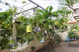 Une nouvelle vie pour des objets du quotidien à Hô Chi Minh-Ville