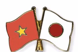 L'Association d'amitié Vietnam-Japon de HCM-Ville contribue aux échanges entre les deux peuples 