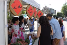 Les fruits du Vietnam répondent aux normes des marchés exigeants