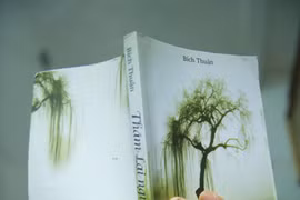 Tran Viet Van refait le coup du bronze au Tokyo International Foto Awards