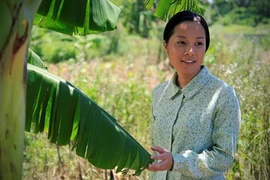 Le Vietnam au Festival des premières mondiales du cinéma des Philippines 2016