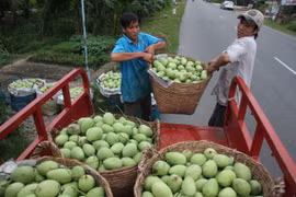 Bond des exportations nationales de fruits et légumes