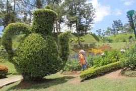 Le parc municipal de Da Lat, le rendez-vous de mille fleurs