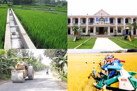 Nouvelle Ruralité : 50 % des communes devront satisfaire aux normes en 2020