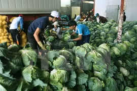 Can Tho souhaite coopérer avec la Nouvelle-Zélande dans l'agriculture bio