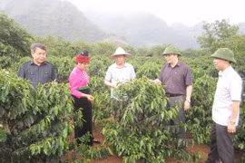 Le 7e Congrès de l’Association des agriculteurs d'Asie pour un développement rural durable