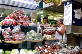 Les fruits vietnamiens présentés en République tchèque