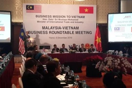 Table ronde des entreprises vietnamiennes et malaisiennes