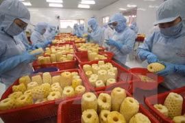 Vietnam: Une croissance d’import-export impressionnante en 2015 