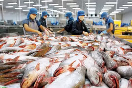 Etats-Unis, le plus grand importateur de pangasius du Vietnam