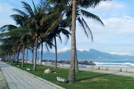 Da Nang promeut ses atouts dans le tourisme maritime