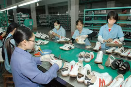 Belles perspectives pour les exportations nationales de chaussures 
