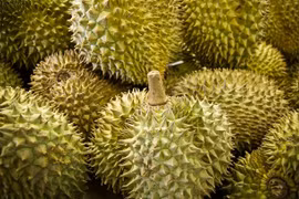 La Thaïlande, 1er fournisseur de fruits et de légumes au Vietnam en 7 mois