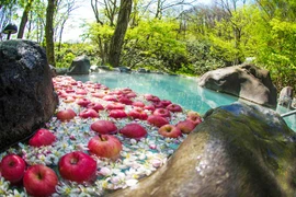 Des pommes japonaises Aomori arrivent au Vietnam 