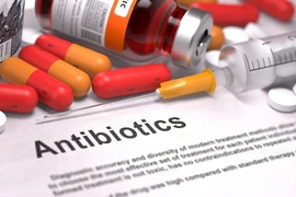 Meeting en écho à la Semaine mondiale pour un bon usage des antibiotiques 