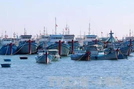 Mise en chantier d’une zone de mouillage pour les bateaux de pêche sur l’île de Phu Quy