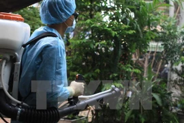 Ho Chi Minh-Ville fait tout pour contrôler l’évolution de Zika