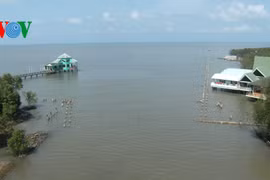 Forte croissance du nombre de touristes à Dât Mui en 2016