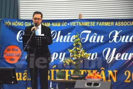 La communauté des Vietnamiens à l’étranger accueillent le Têt de l’Année du Singe