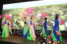 Les femmes vietnamiennes en R. tchèque fêtent leur Journée