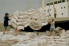 Le riz vietnamien a besoin d’une marque internationale