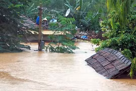 L’adaptation au changement climatique : plus qu’une nécessité, une urgence