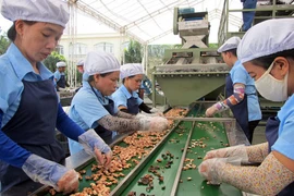 Commerce équitable : d’énormes opportunités pour les produits agricoles vietnamiens en UE